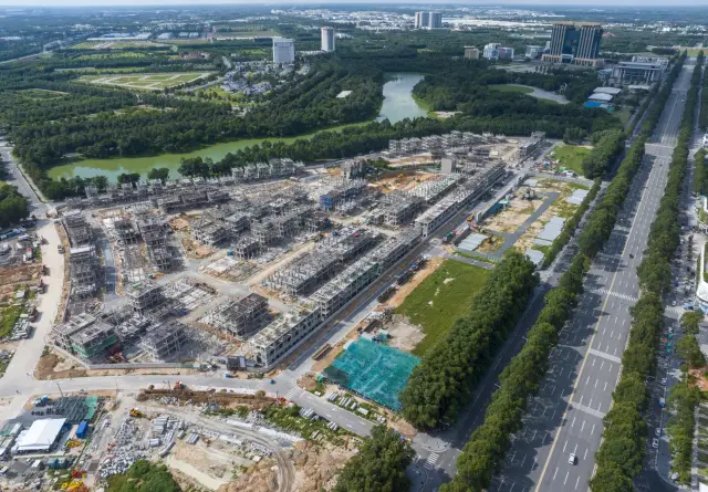 Khu Sycamore tháng 8/2024 nhìn từ trên cao